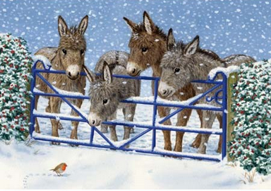 Donkey BlueCross.png